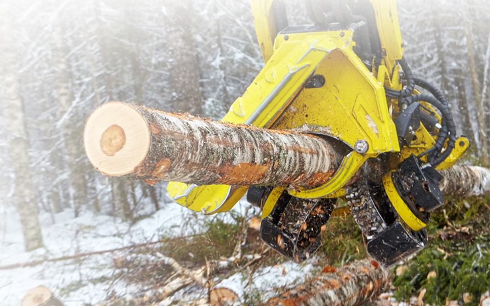 推女郎松果三点尽露视频