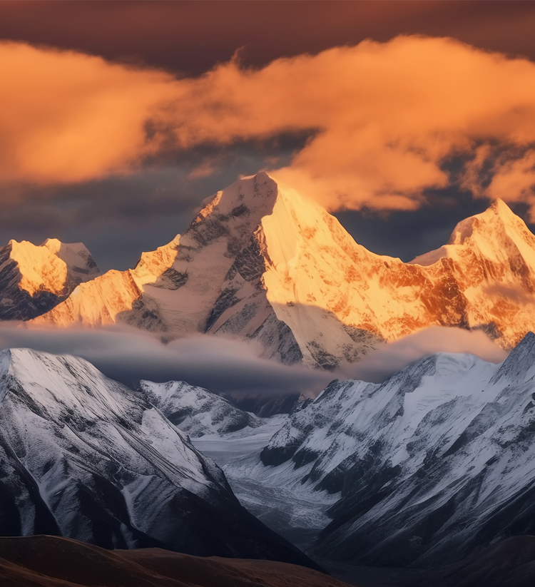 推女郎松果三点尽露视频